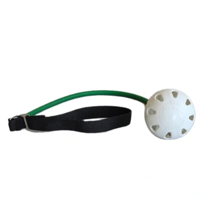 TuBallRx – Green – Medium Light - Exercises - with BALL- Full Body Workout